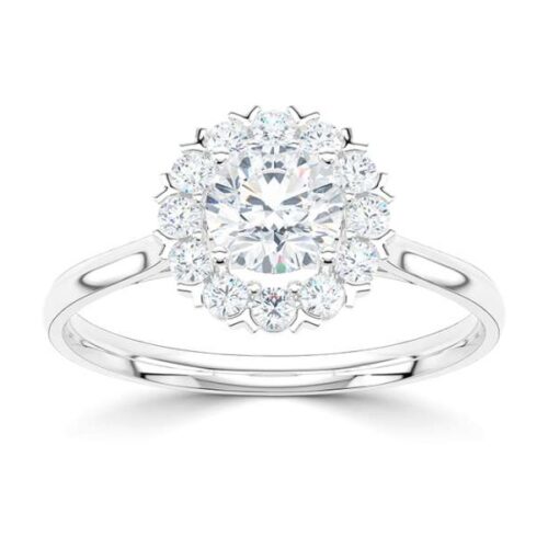 wgv0537e14 rich halo ring briljant 0,74 ct witgoud